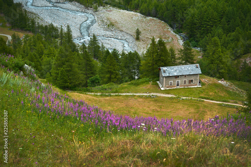 Traditional old alpien architecture with willow herbs