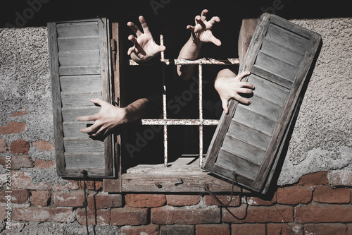plant, background, dark, wooden, decoration, symbol, illuminated, orange, pumpkin, vegetable, terrible, halloween, ghost, horror, light, fear, holiday, face, autumn, fun, glowing, funny, glow, season,