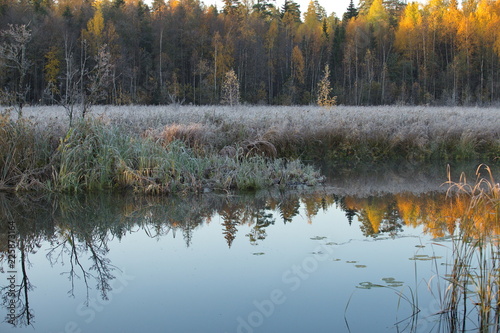Photos Frosty autumn morning near the river: the first frost