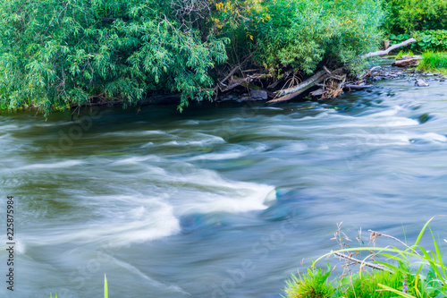river in the forest