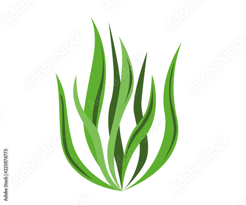 Spirulina algae icon on white background. Vector Illustration.