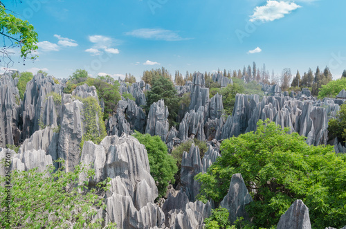 The limestone Stone forest on sunny day, Kunming Yunnan China. photo
