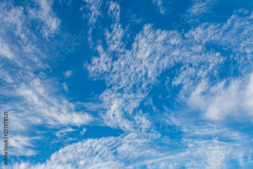Fototapeta Naklejka Na Ścianę i Meble -  Looking up at fluffy white clouds against a blue sky