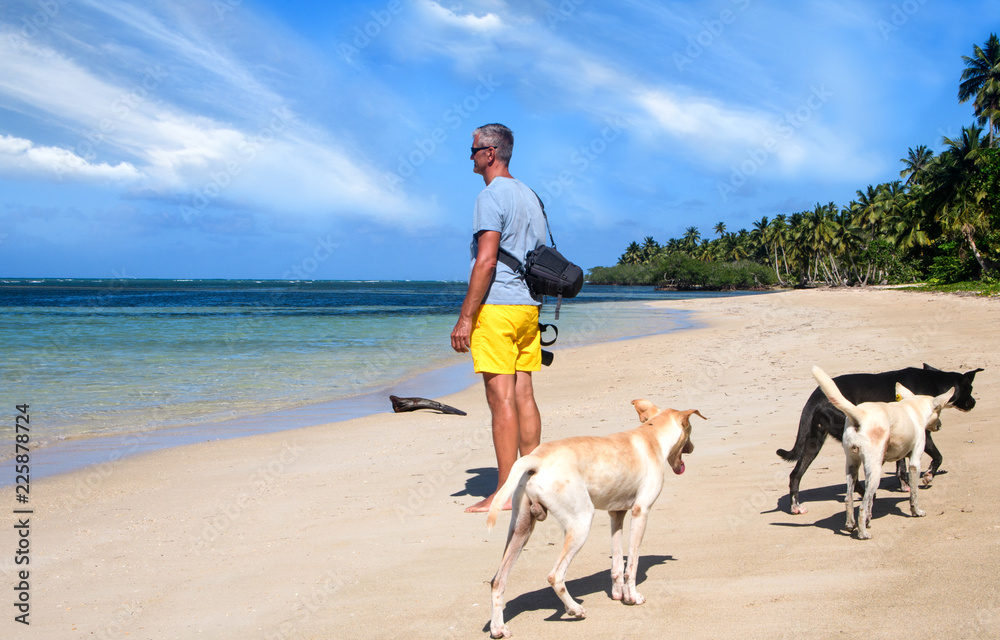 Φωτογραφία outdoor photographer in the Caribbean with beach dogs / photographing on a dream