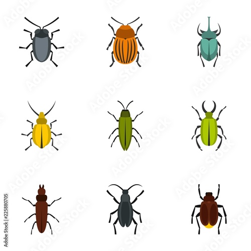 Beetle icons set. Flat illustration of 9 beetle vector icons for web