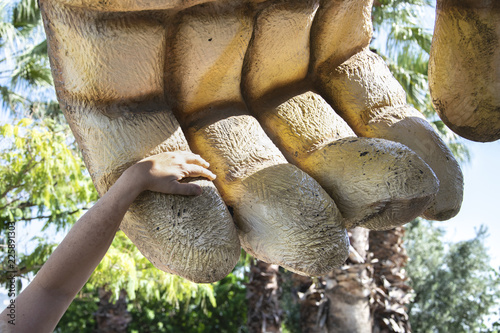 Bild auf Leinwand Mano de un muñeco gigante comparando el tamaño de una humana.