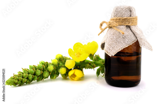 Isolated Verbascum Thapsus Herbal Tincture Extract. Also Great, Common, Woolly, Velvet or Blanket Mullein. Also Beggar's, Moses', Poor Man's, Our Lady's or Old Man's blanket, Feltwort or flannel.