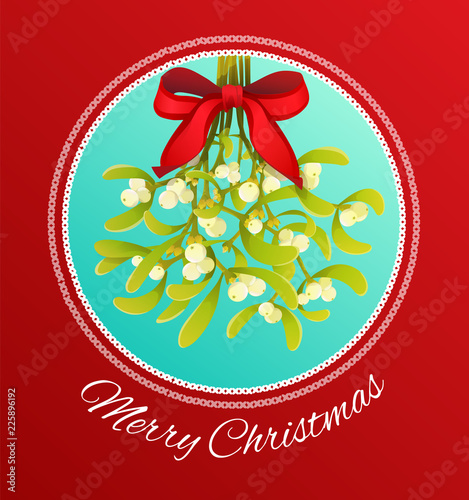 Christmas branch of mistletoe with red bow isolated on red background. Vector illustration.