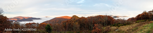 Aerial twilight panorama of mountain forests in autumn