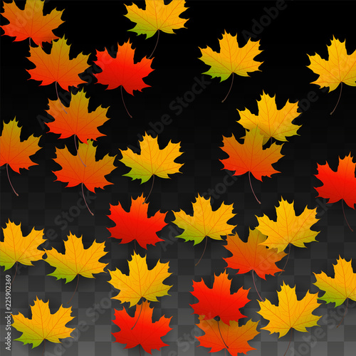 September Vector Background with Golden Falling Leaves. Autumn Illustration with Maple Red, Orange, Yellow Foliage. Isolated Leaf on Transparent Background. Bright Swirl. Suitable for Posters.