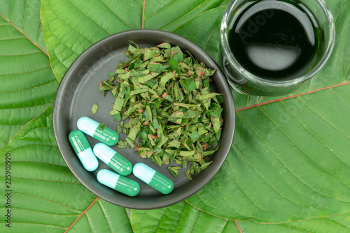 Mitragynina speciosa or Kratom photo