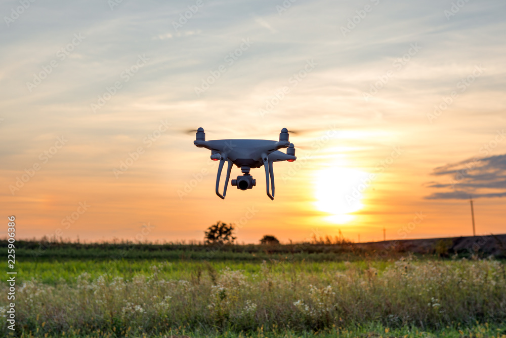 drone quad copter on green corn field drone quad copter on green corn field