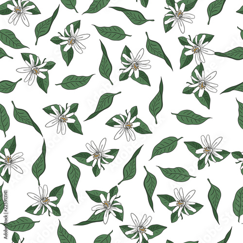 Seamless vector pattern of flowers and leaves of the tangerine tree on a white background
