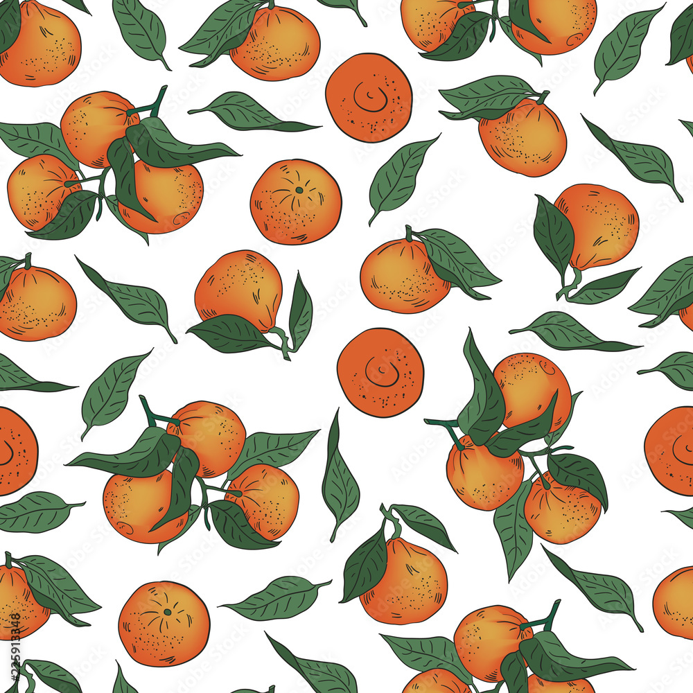 Vector illustration. Hand drawn Mandarins, clementines, citrus. Mandarin seamless pattern.