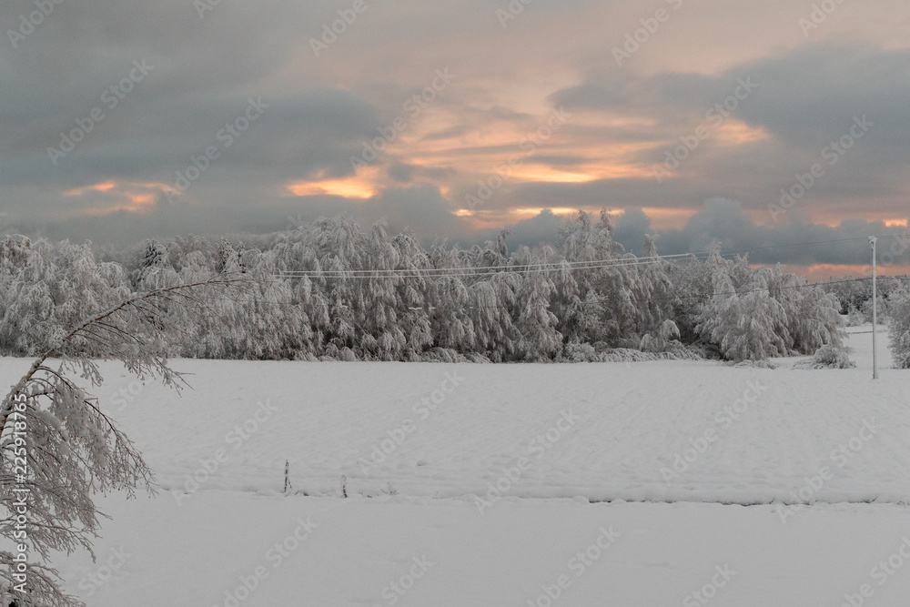 Snowy  field at sunset