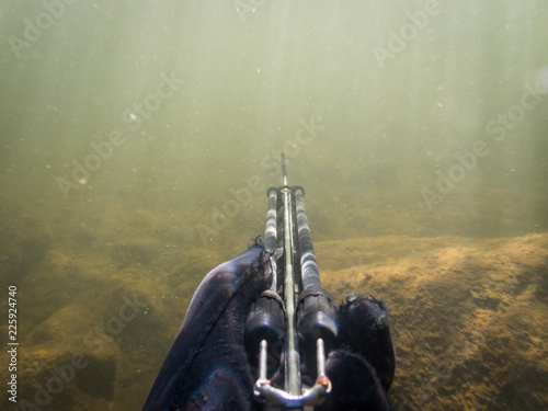 Hand holding speargun underwater