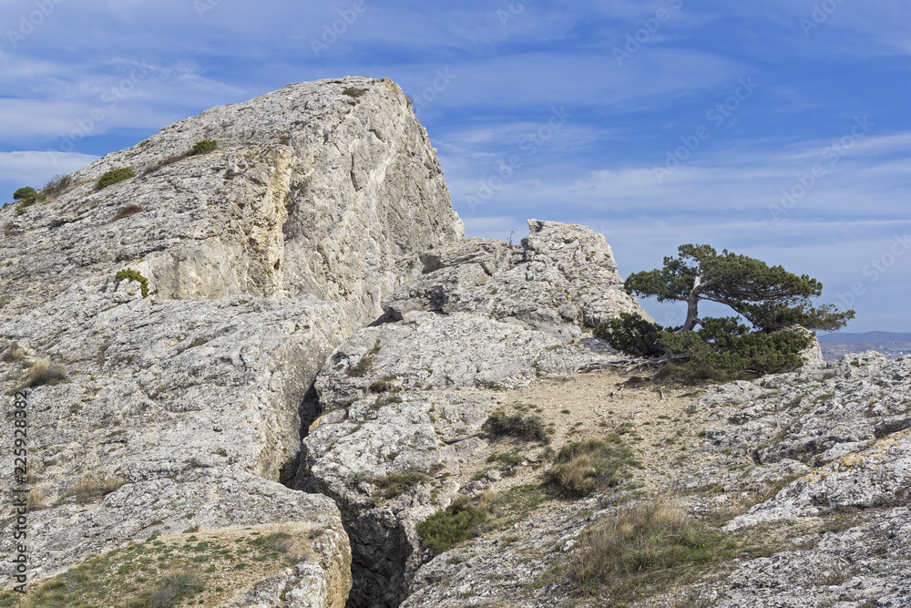 Deep crack in the rock. Crimea