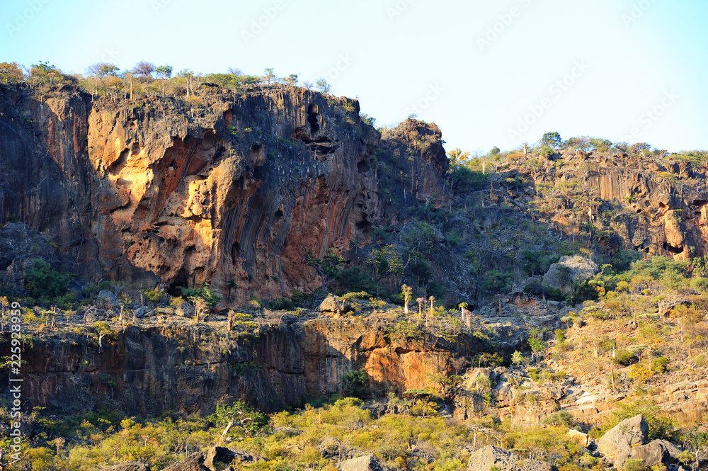 Pictorial landscape of the Socotra island,Yemen Pictorial landscape of the Socotra island,Yemen