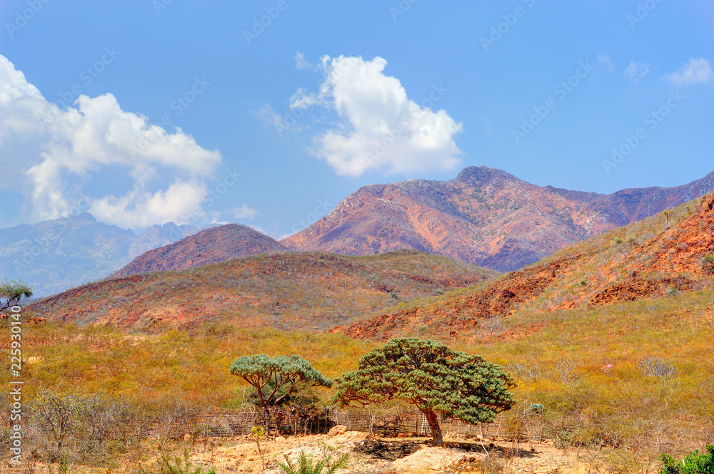  Pictorial landscape of the Socotra island,Yemen