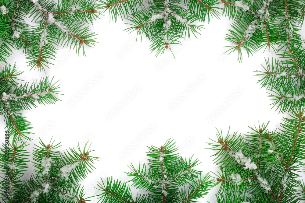Christmas Frame of Fir tree branch with snow isolated on white background with copy space for your text. Top view Christmas Frame of Fir tree branch with snow isolated on white background with copy space for your text. Top view