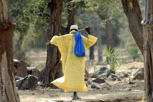 Homme seul de dos, tunique jaune, baluchon sur l'épaule, forêt de baobabs, Pays Dogons, Mali, Afrique