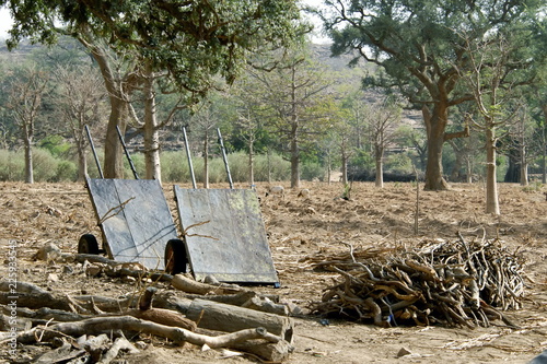 Tas de bois et vieilles charrettes à bras vers le village de Niongono, Pays Dogon, Mali, Afrique