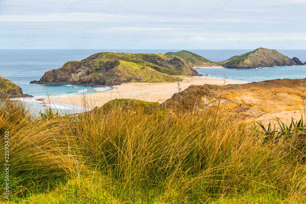 New Zealand coastline, northland, North Island 