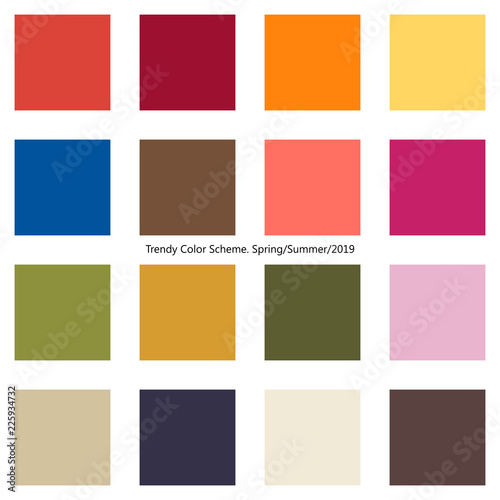 Trendy color scheme by plain color boxes