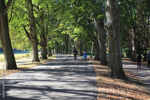 Berühmte Lichtentaler Allee, mit Radweg, Bach Oos und Spaziergänger in Baden-Baden im Herbst photo