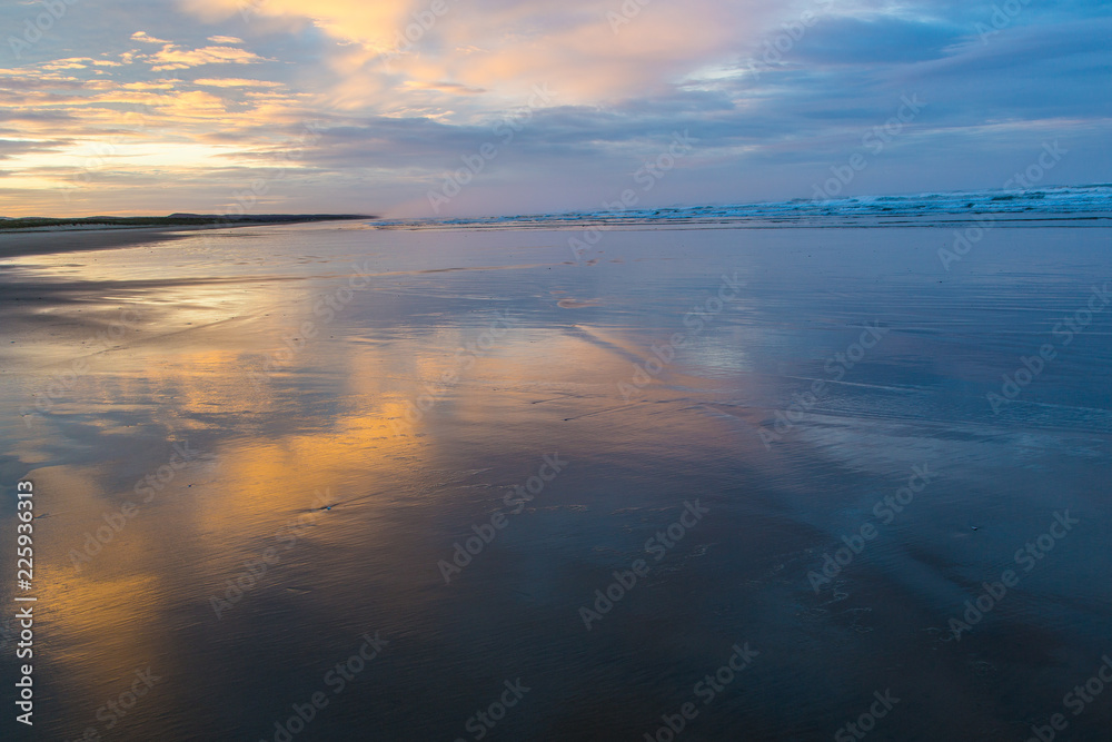Fototapeta premium New Zealand coastline, northland, North Island