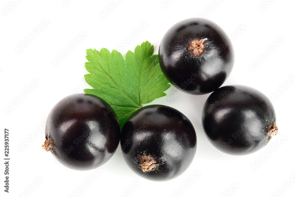 black currant with leaves isolated on white background. Top view. Flat lay pattern black currant with leaves isolated on white background. Top view. Flat lay pattern
