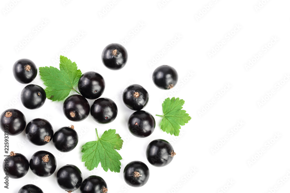 black currant with leaves isolated on white background with copy space for your text. Top view. Flat lay pattern black currant with leaves isolated on white background with copy space for your text. Top view. Flat lay pattern