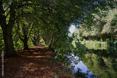 The River Stort in Harlow Essex  the tree lined path showing Autumn and the opposite bank with the Towpath remains in full summer mode.