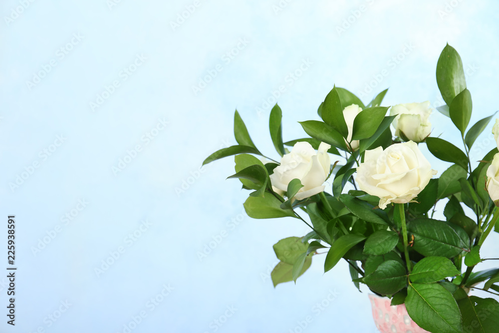 Fototapeta Bouquet of beautiful roses on color background. Space for text