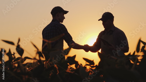 Foto Two farmers talk on the field, then shake hands. Use a tablet