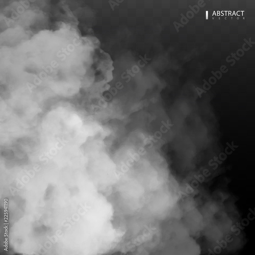 Fog or smoke isolated transparent special effect. Happy Halloween. Halloween composition. White vector cloudiness, mist or smog background. Vector illustration