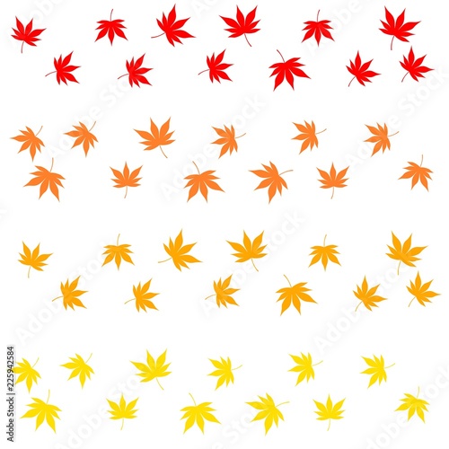 wallpaper of the momiji leaf