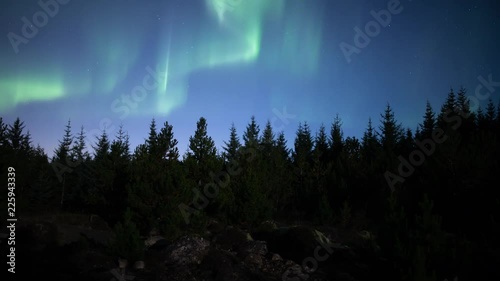 Bright active Aurora borealis over pine tree forest, Heidmork Iceland.mov