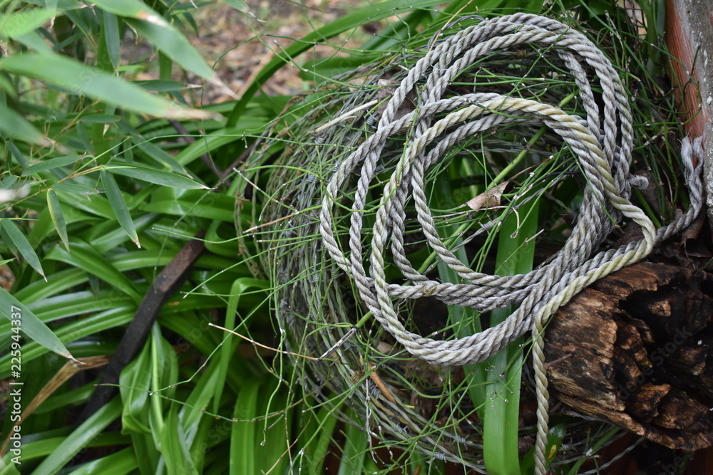 rope on grass