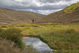 A Wyoming Creek  8B8019