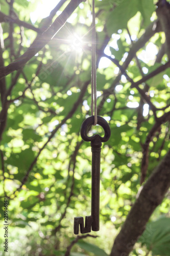 Ancient wrought iron key hanging between branches.