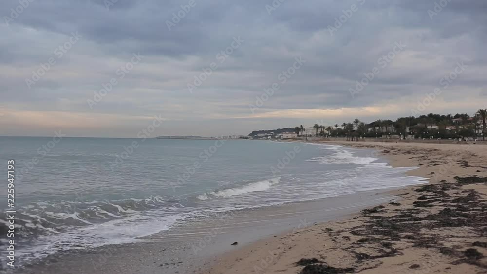 The sea with foamy waves and sandy beach with seaweed early in the morning The sea with foamy waves and sandy beach with seaweed early in the morning