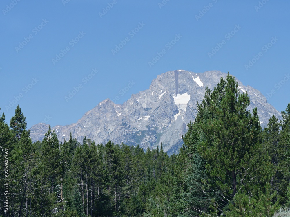Obraz premium Kontrast bujnych zielonych drzew z surowymi skalistymi i ośnieżonymi kanionami Parku Narodowego Grand Teton w Wyoming.