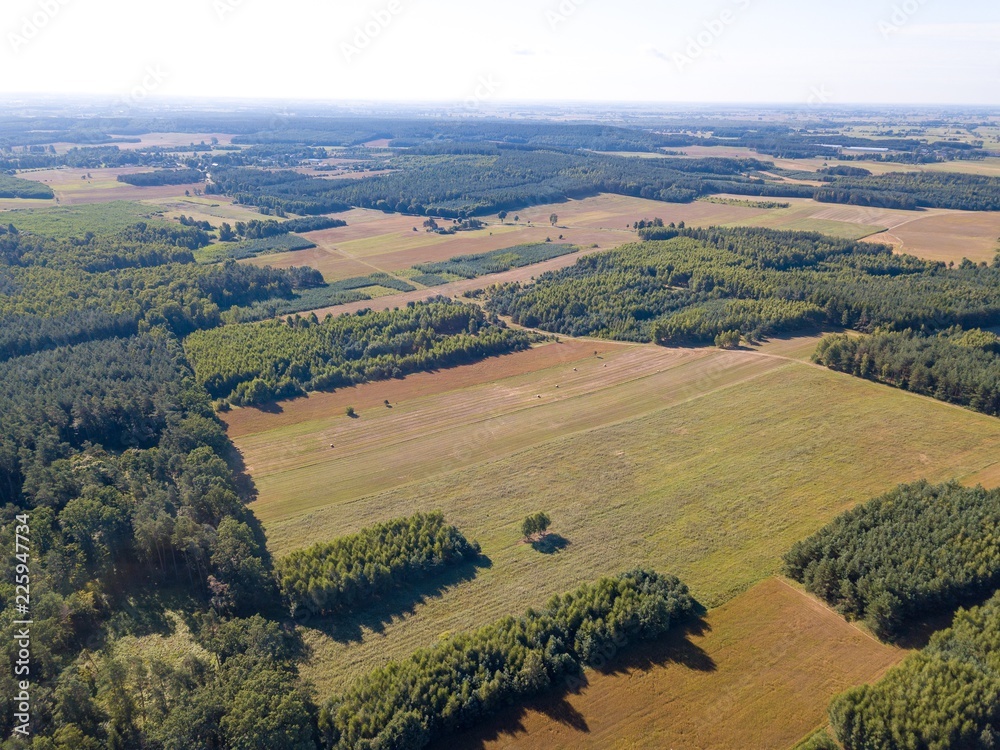 Beautiful summer fields and forest photographed from drone. Polish aerial landscape.