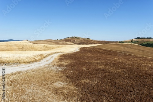 Italien - Toskana - Mucigliani photo