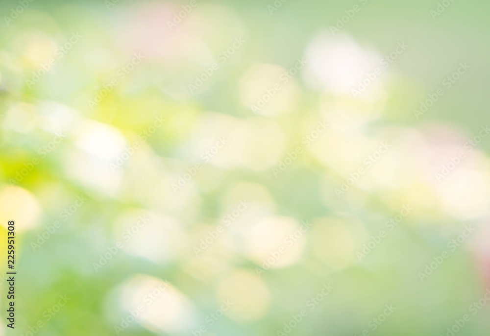 Obraz premium Sunny abstract green nature background and bokeh lights