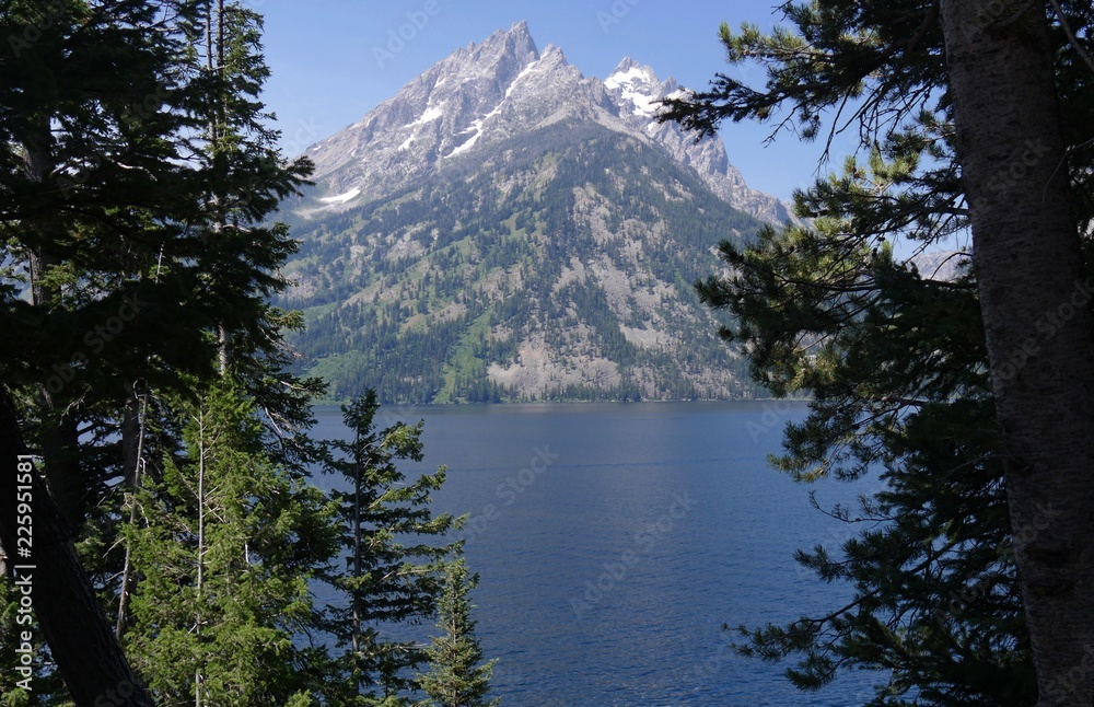 Jenny Lake framed by beautiful trees at the Grand Teton National Park in Wyoming.