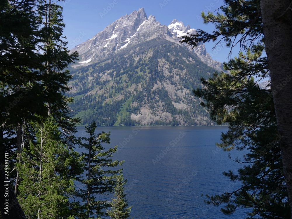 Beautiful view of Jenny Lake between the trees with snow-capped mountains at the Grand Teton National Park in the U.S. state of Wyoming.