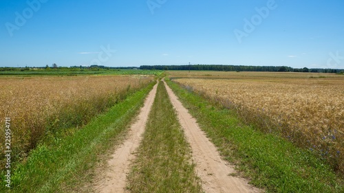 Sandy road through fields in Poland