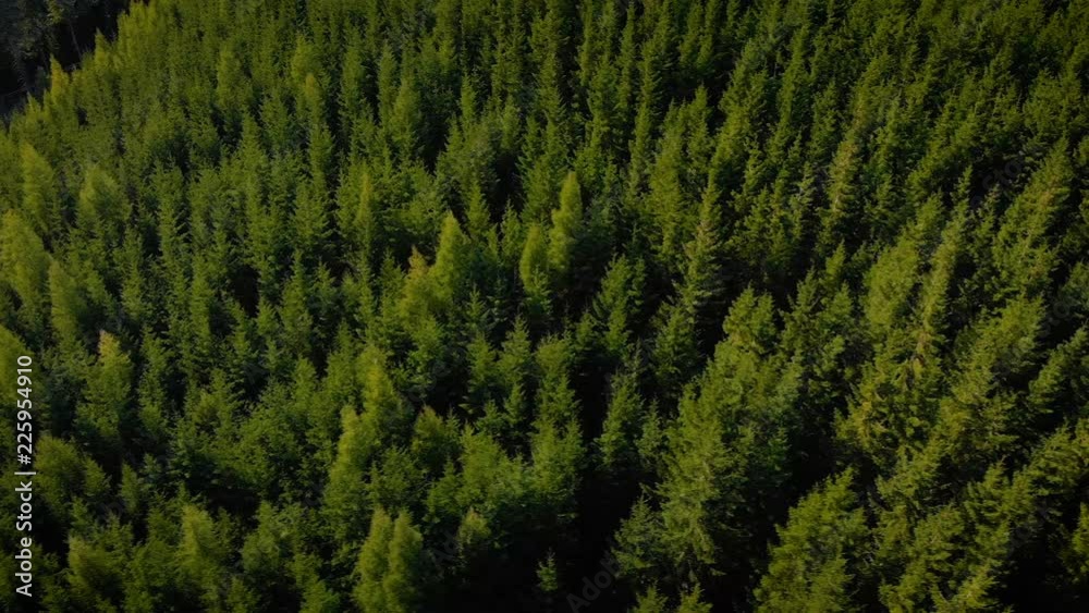 aerial view of beautiful mountains covered with green forest aerial view of beautiful mountains covered with green forest